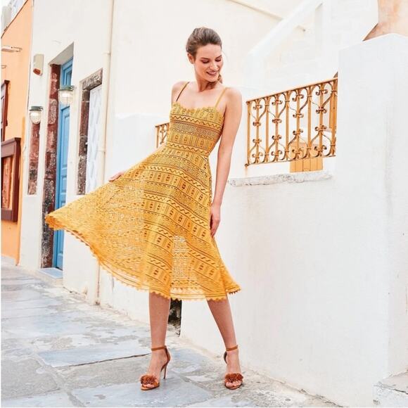 Dress the population Brenna fit and flare Lace Dress in honey size XXS 0-2